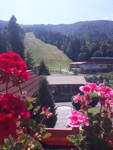 Фотографии Отель Azuga Ski & Bike Resort г. Азуга (Румыния) №3 Фото Отель Azuga Ski & Bike Resort г. Азуга 3