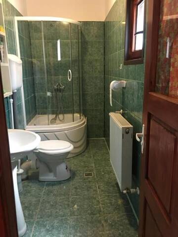 Фото номера Cемейный номер с собственной ванной комнатой Проживание в семье Casa Royce г. Азуга 16