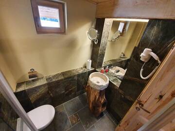 Фото номера Шале с одной спальней Шале Alpin Lodge г. Азуга 42