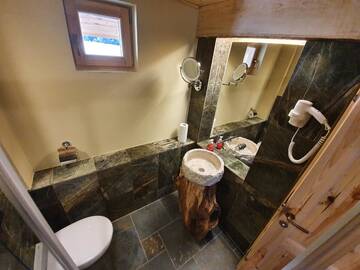 Фото номера Шале с одной спальней Шале Alpin Lodge г. Азуга 11