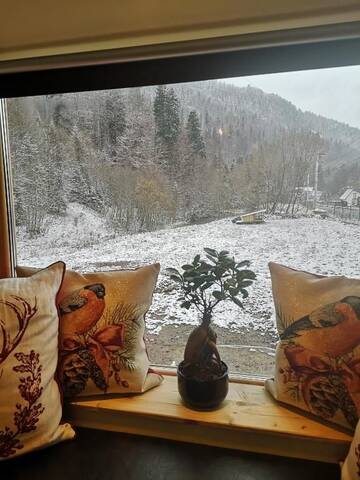 Фото номера Шале с одной спальней Шале Alpin Lodge г. Азуга 33